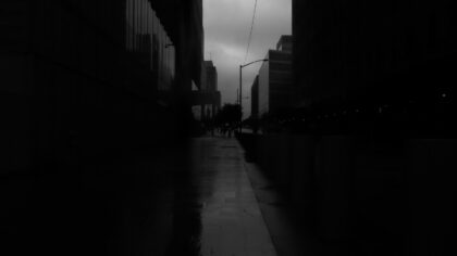 How film noir taught modern cinema to love shadows, flawed heroes and moral doubt
