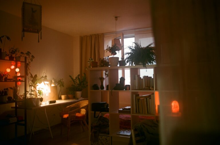 Cozy living room