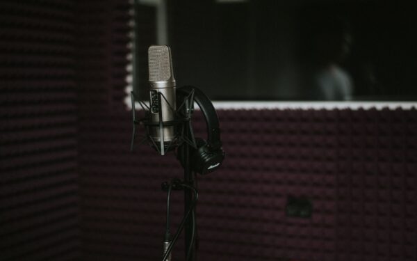 How voice actors bring animated characters to life on streaming platforms