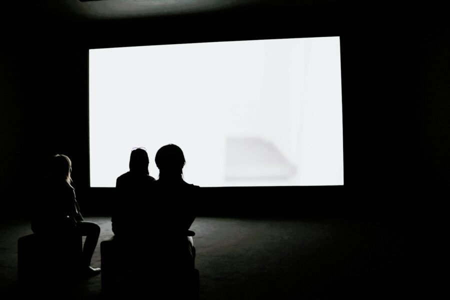 Cinema screen audience