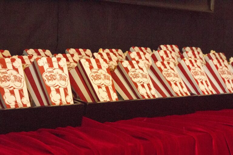 Film festival program
