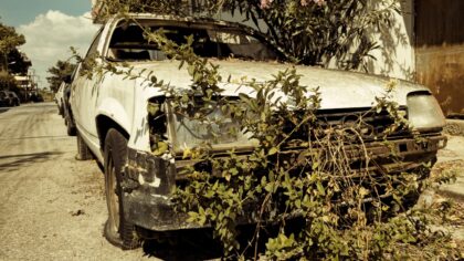 A simple guide to post‑apocalyptic genres and how to pick the kind of ruins you enjoy