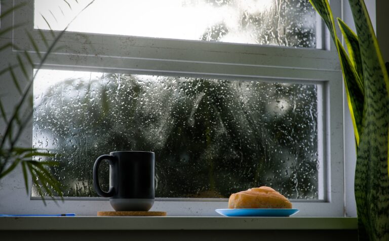 Person watching rainy