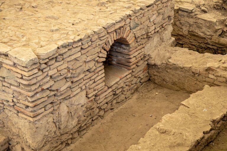 Indiana jones archaeological