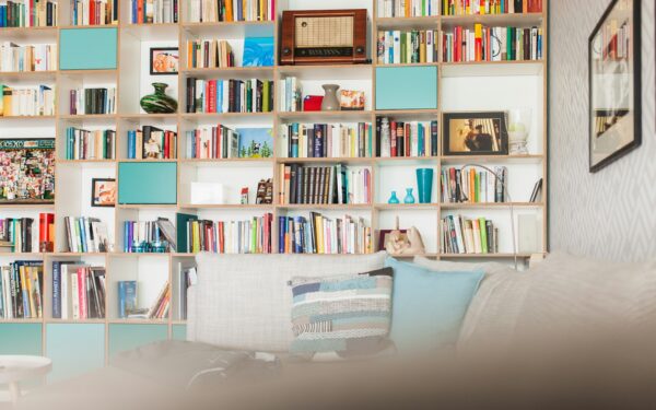 Why the DVD boom quietly created a new era of film discovery