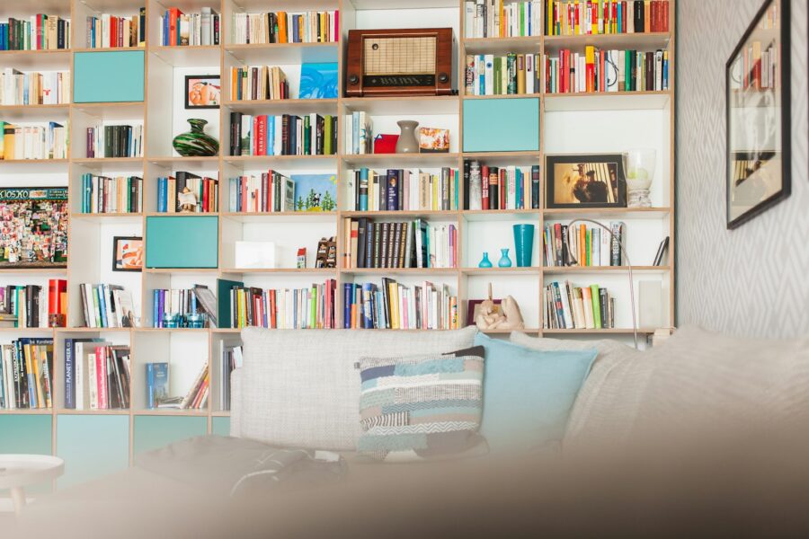 Dvd collection shelves